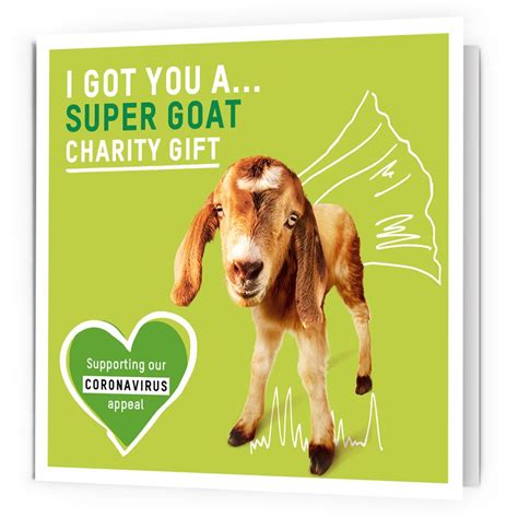 charity goat gift